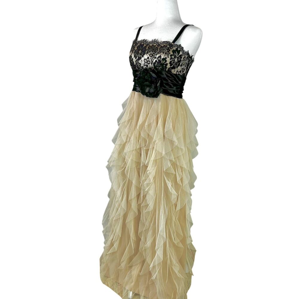 Romantic Goth Evening Empire Gown Black Lace Tiered Tulle Rosette Formal 5/6 - Picture 4 of 14